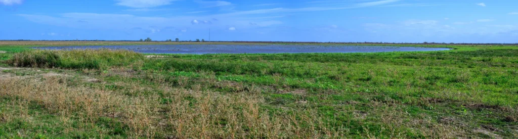 small+20241125+Katy+Prairie+DSC_9697Pano.jpg_format=2500w